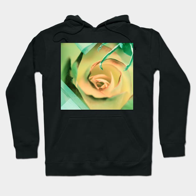 Rosey Hoodie by FeministAF